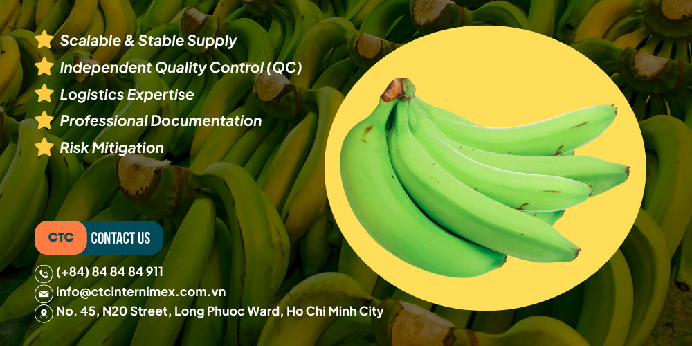 Cavendish-Banana-Sourcing-Vietnam-40-Day-Shelf-Life-Solutions-3.png