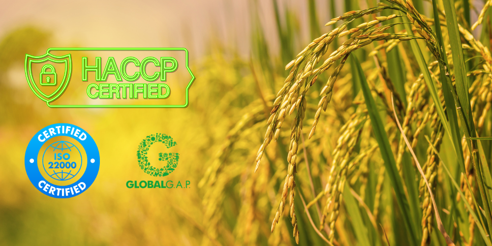 Global-Sourcing-Trends-Why-Vietnamese-Rice-is-Winning-Over-International-B2B-Importers-3.png