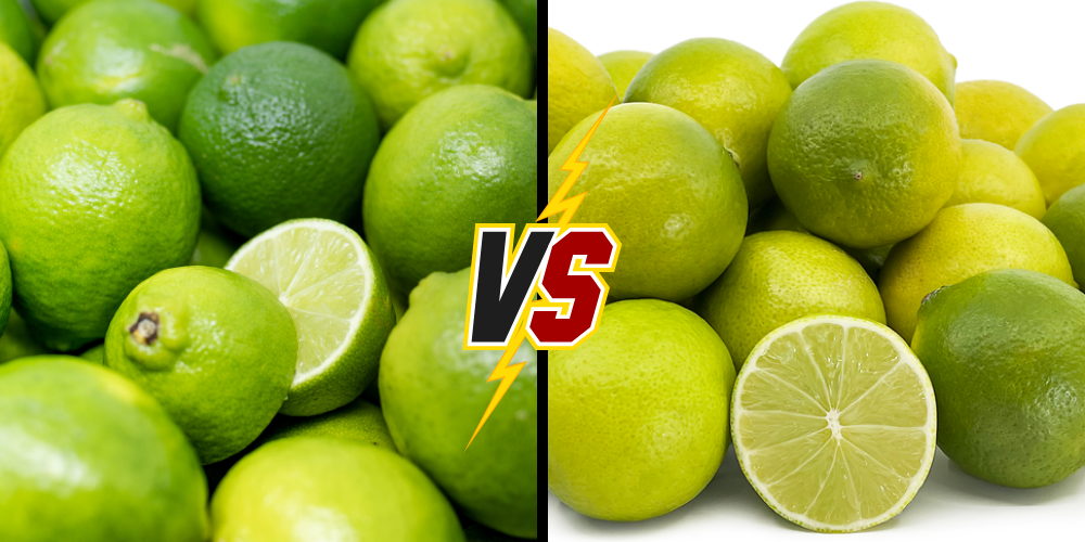 High-Oil-Vietnamese-Seedless-Limes-Global-B2B-Export-Guide-2.png