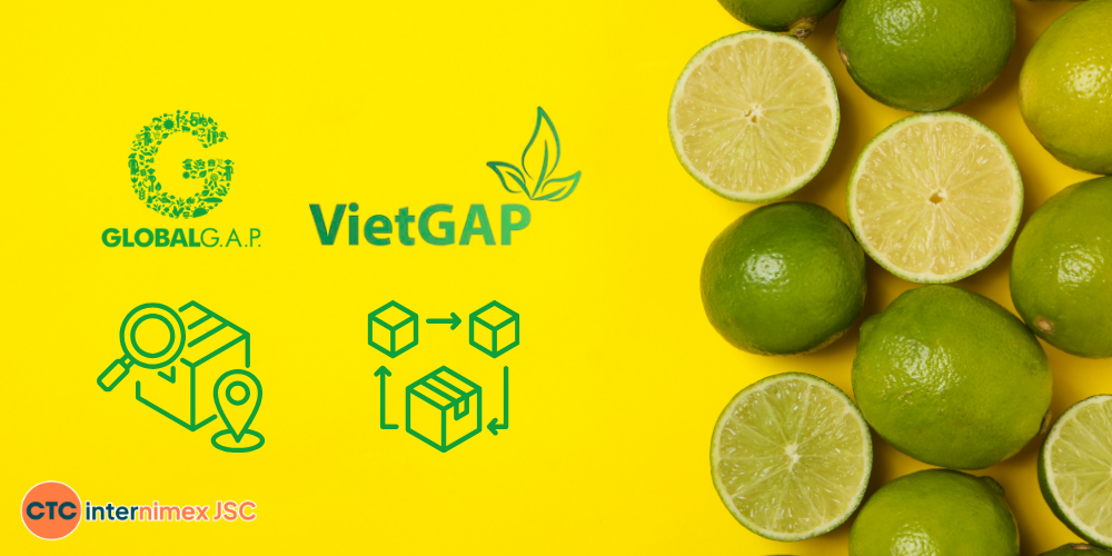 High-Oil-Vietnamese-Seedless-Limes-Global-B2B-Export-Guide-3.png