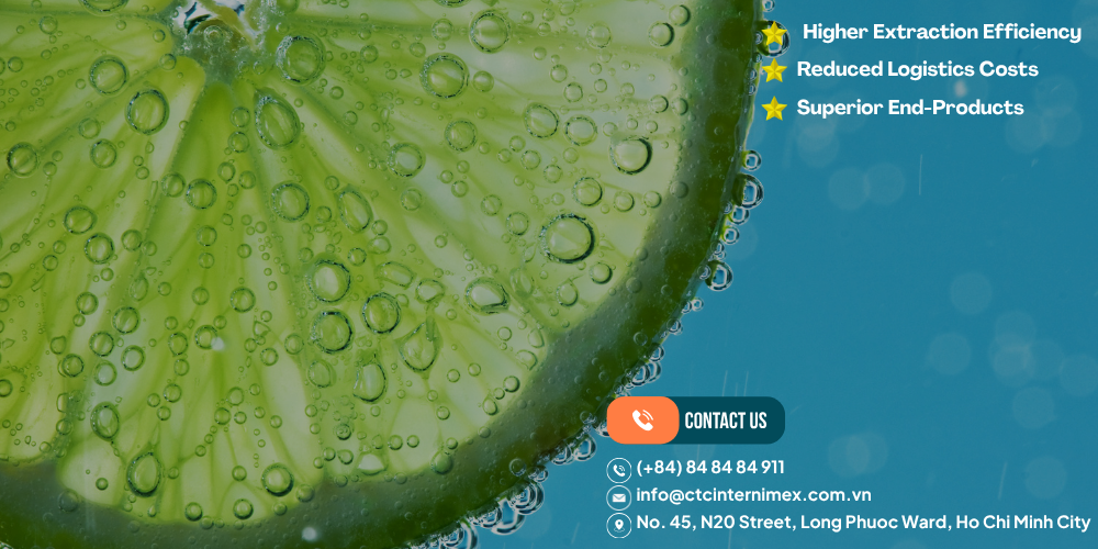 High-Oil-Vietnamese-Seedless-Limes-Global-B2B-Export-Guide-4.png