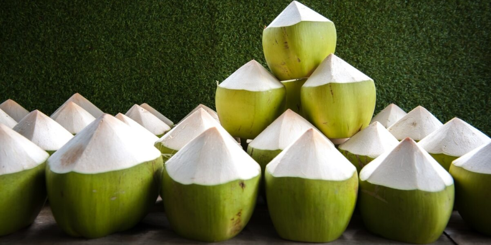 Premium-Diamond-Cut-Fresh-Coconuts-from-Vietnam-The-Ultimate-Global-Import-Solution-1.png