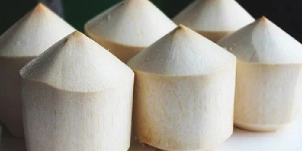 Premium-Diamond-Cut-Fresh-Coconuts-from-Vietnam-The-Ultimate-Global-Import-Solution-2.png