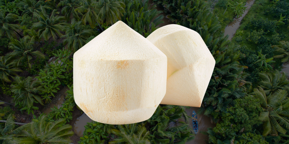 Premium-Diamond-Cut-Fresh-Coconuts-from-Vietnam-The-Ultimate-Global-Import-Solution-3.png