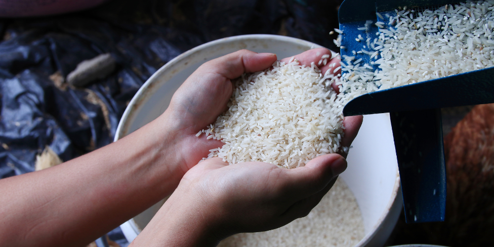 Risk-Mitigation-in-Rice-Sourcing-Why-Arrival-Quality-Defines-Your-Bottom-Line-3.png