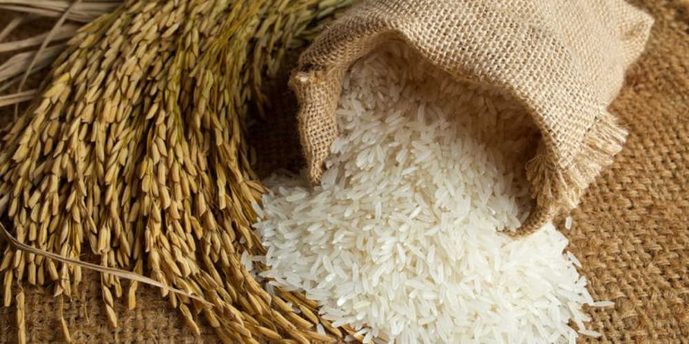Scaling-Your-Food-Production-in-2026-A-Technical-Guide-to-Sourcing-Certified-Vietnam-Rice-1.png