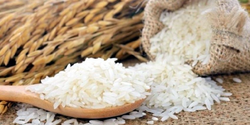 Scaling-Your-Food-Production-in-2026-A-Technical-Guide-to-Sourcing-Certified-Vietnam-Rice-2.png
