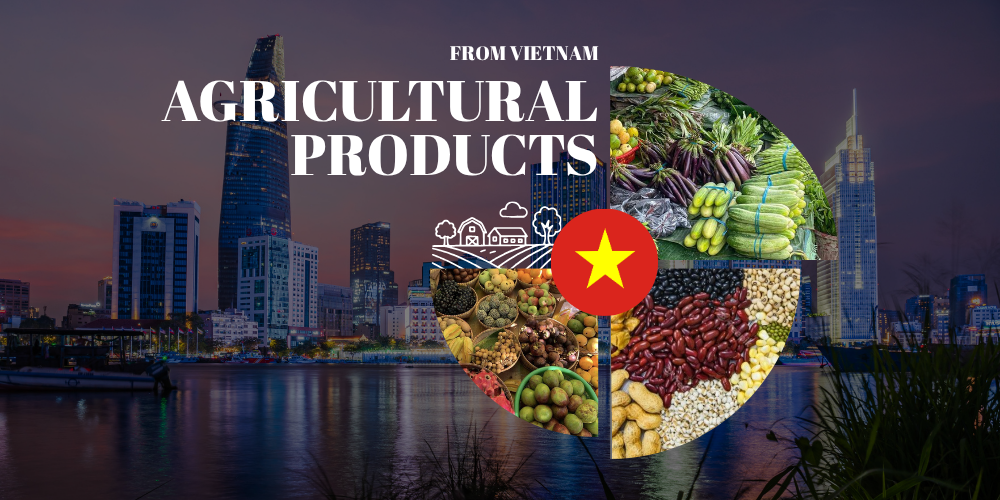 Sourcing-Agriculture-from-Vietnam-2026-B2B-Import-Checklist-1.png