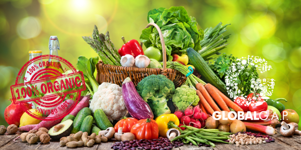 Strategic-Agri-Sourcing-from-Vietnam-EVFTA-amp-CPTPP-Benefits-3.png
