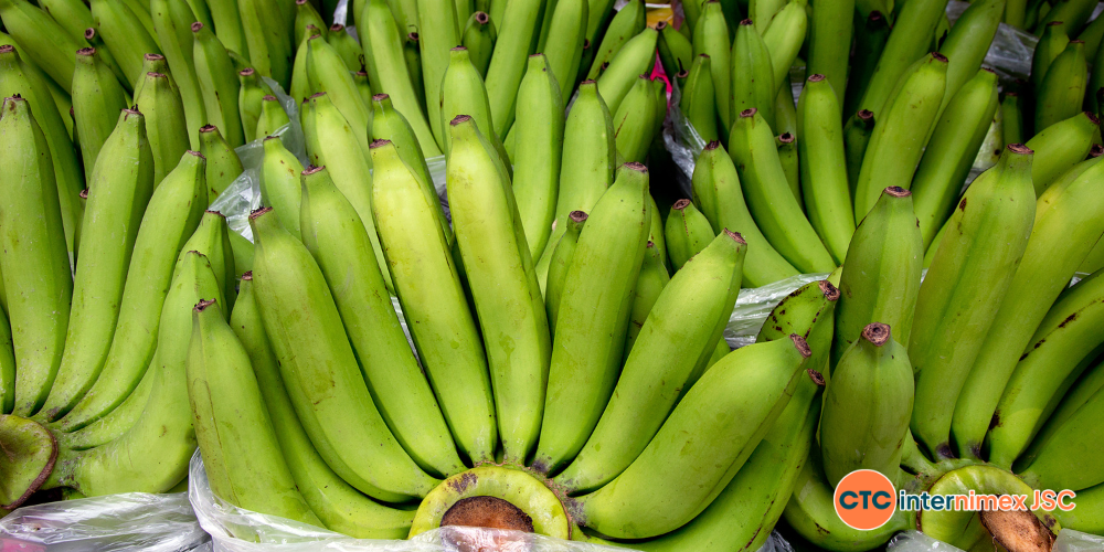 Strategic-Banana-Sourcing-How-Advanced-Post-Harvest-Solutions-Secure-Your-Supply-Chain-1.png