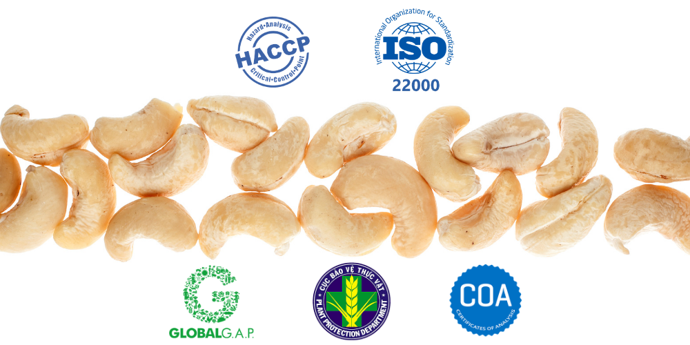 Strategic-Cashew-Nut-Sourcing-from-Vietnam-Powering-Global-Snack-Supply-Chains-2.png