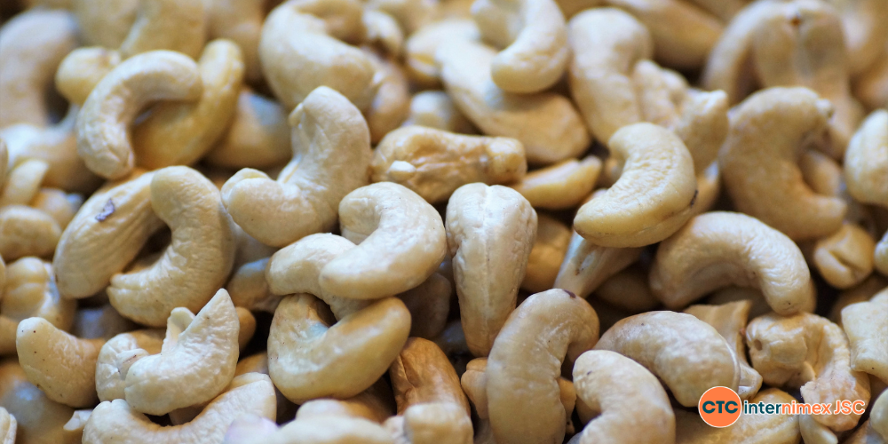 Strategic-Cashew-Sourcing-2026-Why-Logistics-and-Compliance-are-the-Real-Game-Changers-2.png
