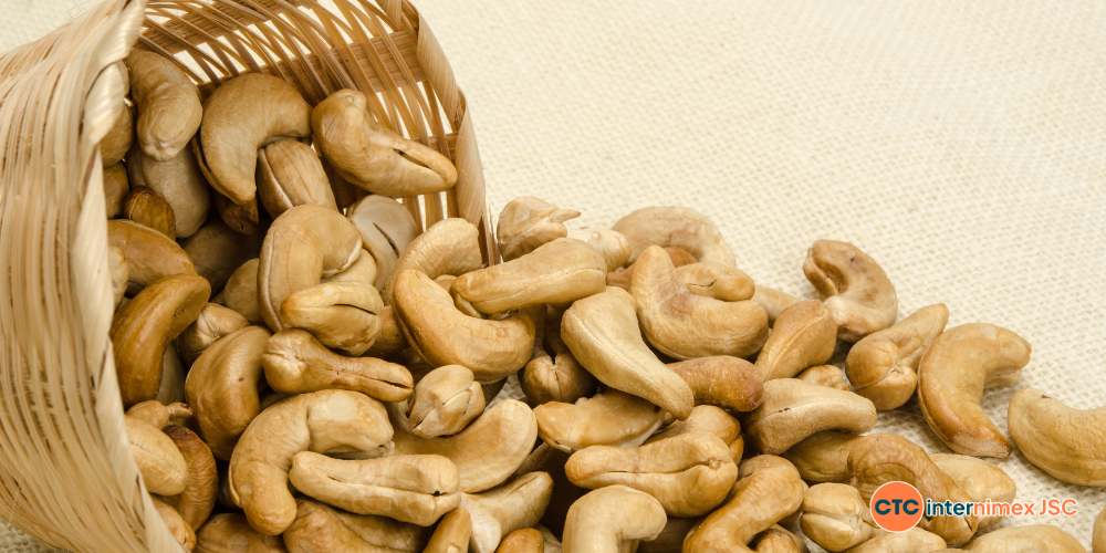 Strategic-Cashew-Sourcing-2026-Why-Logistics-and-Compliance-are-the-Real-Game-Changers-3.png