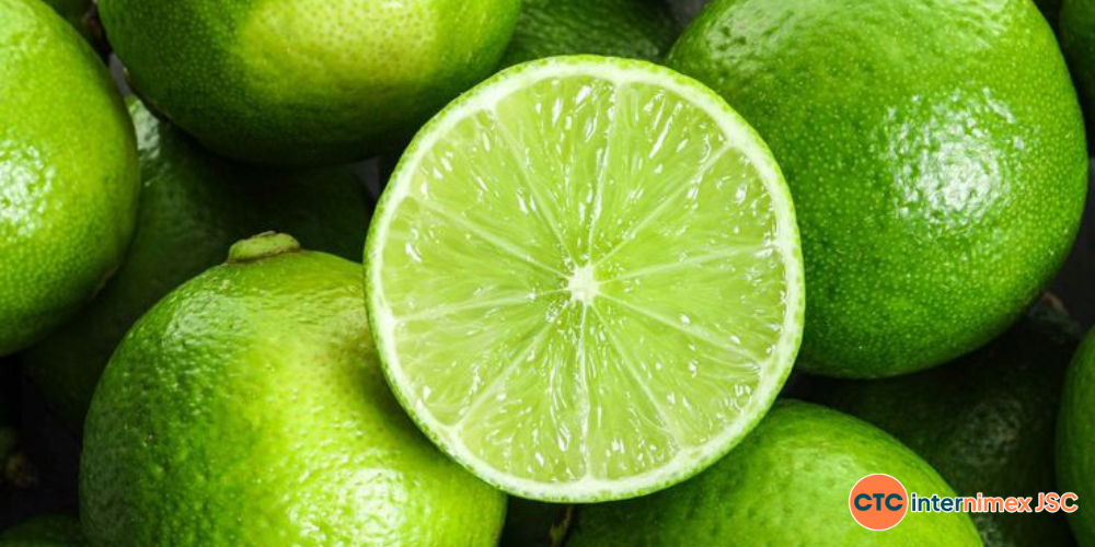 Strategic-Seedless-Lime-Sourcing-A-Reliable-Supply-Chain-for-Global-B2B-Partners-1.png