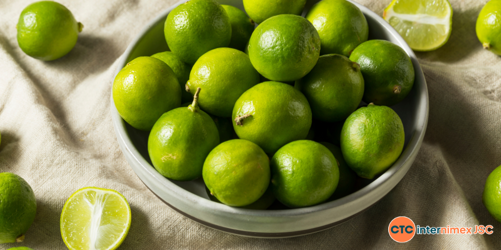 Strategic-Seedless-Lime-Sourcing-A-Reliable-Supply-Chain-for-Global-B2B-Partners-2.png