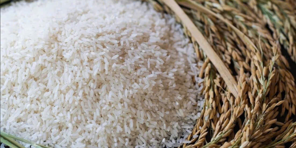 Strategic-Sourcing-Navigating-the-Choice-Between-Jasmine-Rice-and-Dai-Thom-8-for-Global-Markets-2.png