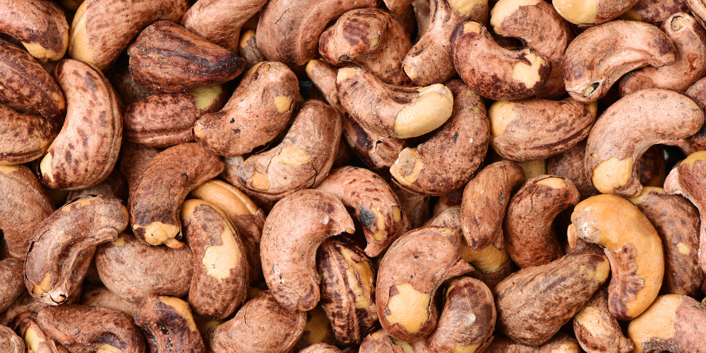 Strategic-Sourcing-Why-Professional-Exporters-are-Redefining-the-Vietnam-Cashew-Trade-2.png