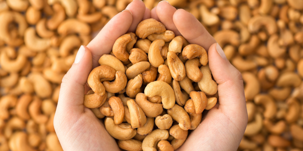 Strategic-Sourcing-Why-Professional-Exporters-are-Redefining-the-Vietnam-Cashew-Trade-4.png