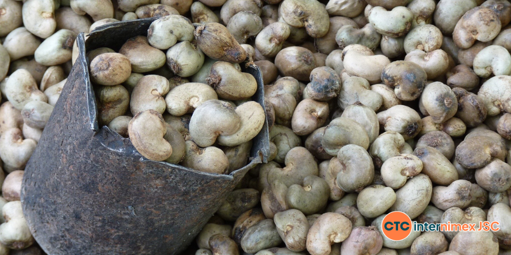 Strategic-Sourcing-Why-Vietnam-Cashews-are-the-Essential-Ingredient-for-2026-Food-Innovation-1.png