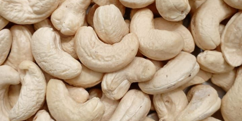 Supply-Chain-Resilience-Mitigating-Cashew-Rancidity-Risks-in-Bulk-B2B-Sourcing-2.png