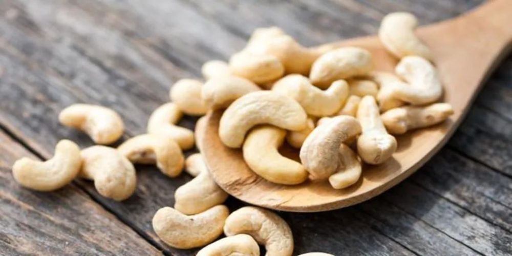 The-Plant-Based-Revolution-Why-Vietnam-Cashew-Nuts-are-the-Premier-Ingredient-for-Global-Food-Innovators-4.jpg