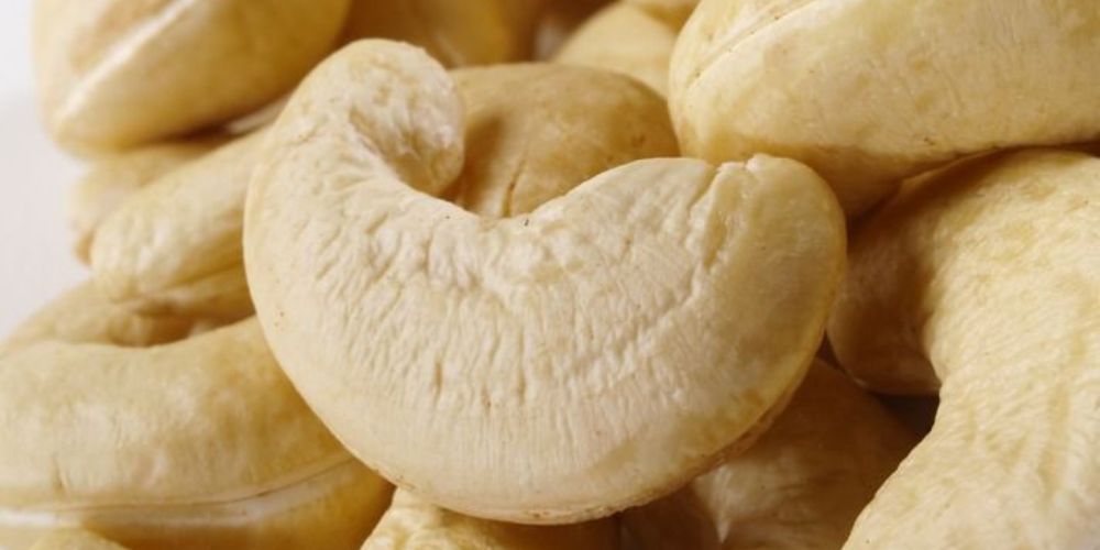 The-Strategic-Blueprint-Why-Vietnam-Cashew-Nuts-Dominate-Global-Bulk-Procurement-1.jpg