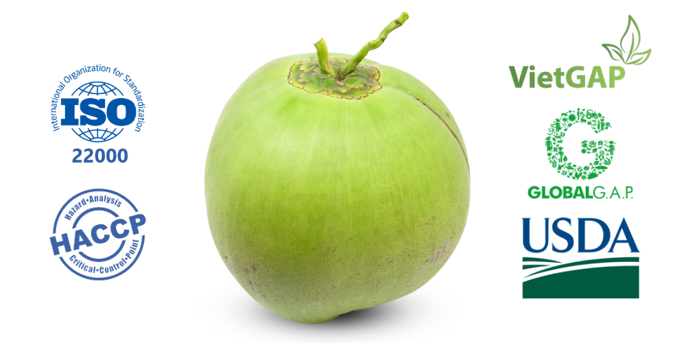 Top-7-Reasons-to-Source-Ben-Tre-Green-Xiem-Coconuts-for-Global-Export-3.png