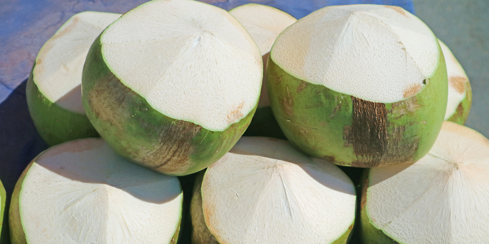 Top-7-Reasons-to-Source-Ben-Tre-Green-Xiem-Coconuts-for-Global-Export-4.png