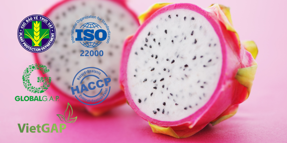 Top-Vietnam-Dragon-Fruit-Suppliers-for-High-Volume-Global-Exports-3.png