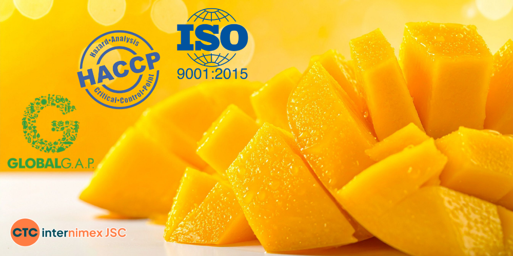 Top-Vietnamese-Mango-Supplier-Bulk-Export-amp-Wholesale-2026-2.png