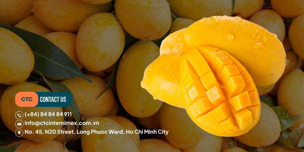 Top-Vietnamese-Mango-Supplier-Bulk-Export-amp-Wholesale-2026-4.png