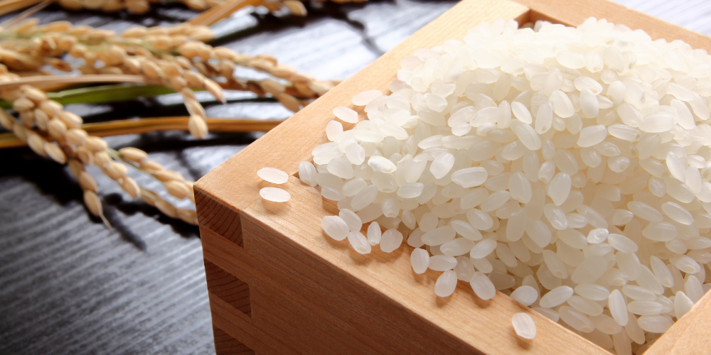 Trends-in-Bulk-Rice-Sourcing-from-Vietnam-Key-Export-Varieties-for-B2B-Buyers-5.png