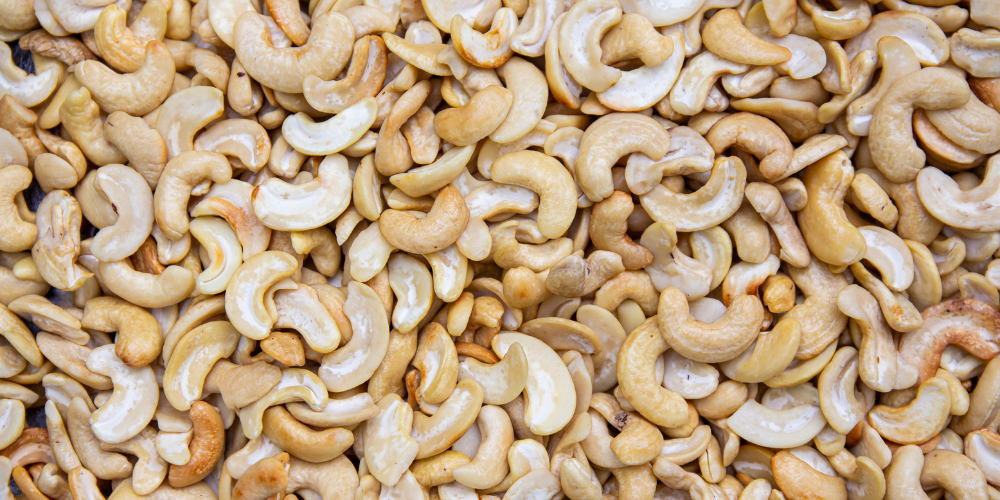 Vietnam-Cashew-Export-2026-Navigating-Adulteration-Risks-in-Bulk-Procurement.png