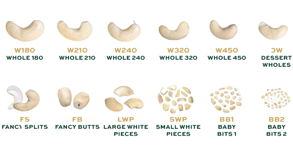 Vietnam-Cashew-Supply-The-Ultimate-Sourcing-Solution-For-Bulk-Buyers-2.png