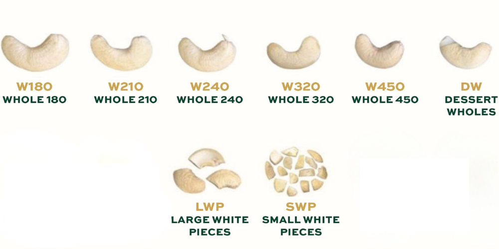 Vietnam-Cashews-AFI-Standards-amp-Bulk-Import-Guide-2.png