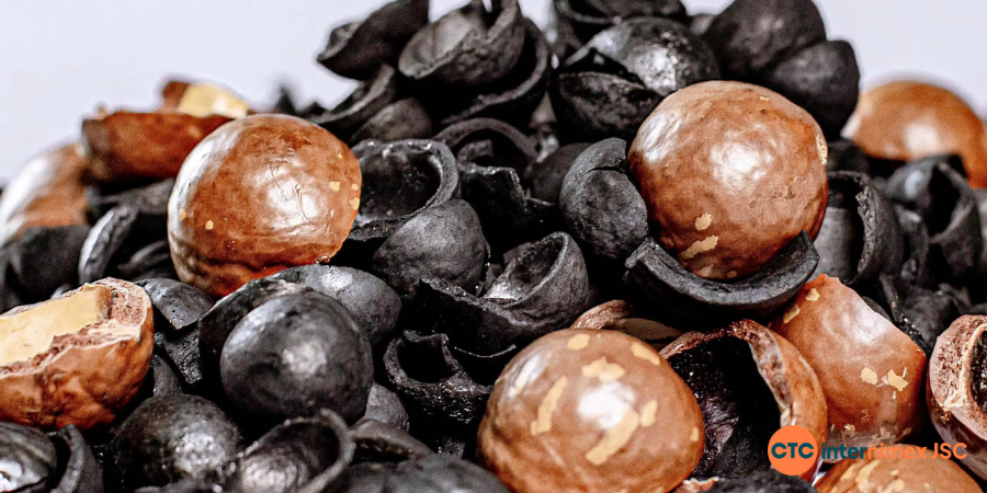 Vietnam-Macadamia-Shell-Charcoal-7.png