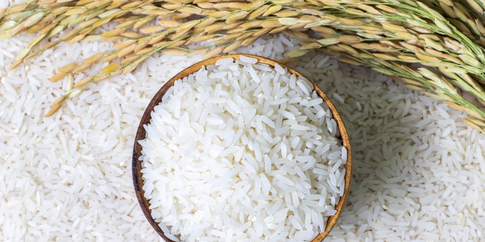 Vietnam-Rice-Procurement-Guide-Sourcing-Jasmine-Rice-vs-ST25-for-High-Volume-Trade-1.png