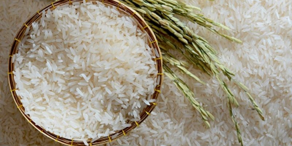 Vietnam-Rice-Procurement-Guide-Sourcing-Jasmine-Rice-vs-ST25-for-High-Volume-Trade-2.png