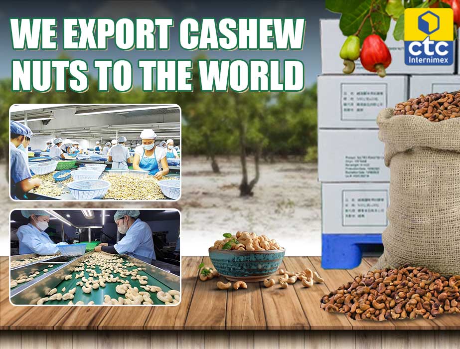 cashew