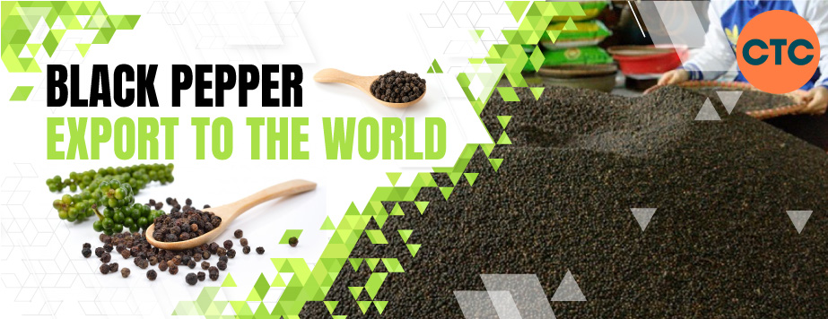 Vietnam blackpeper export