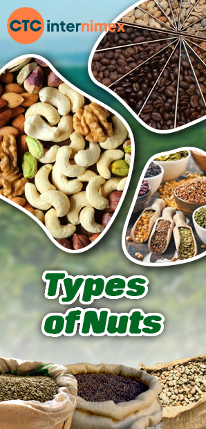 Types of Nuts