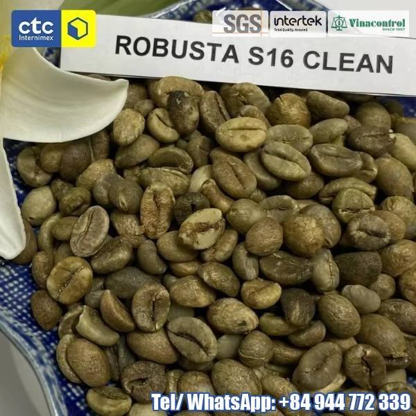 Vietnam Robusta Coffee Beans