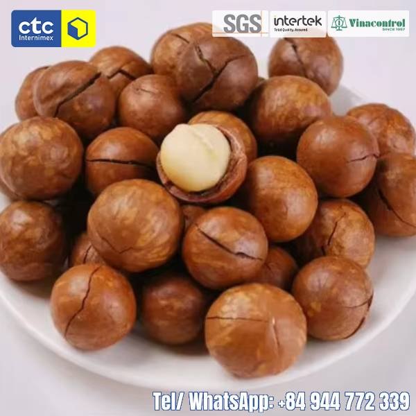 Cracked Macadamia Nuts