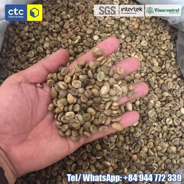 Vietnam Robusta Coffee Beans