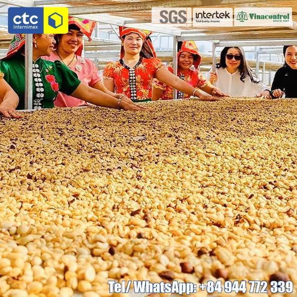 Vietnam Robusta Coffee Beans