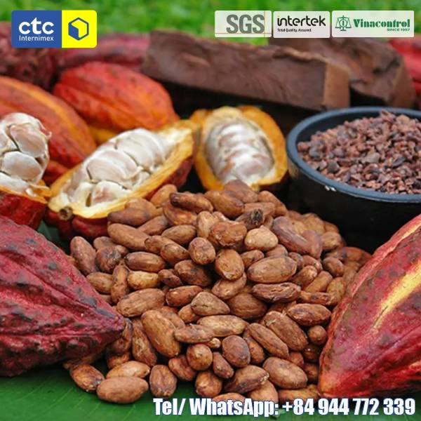 Dried Cocoa Bean