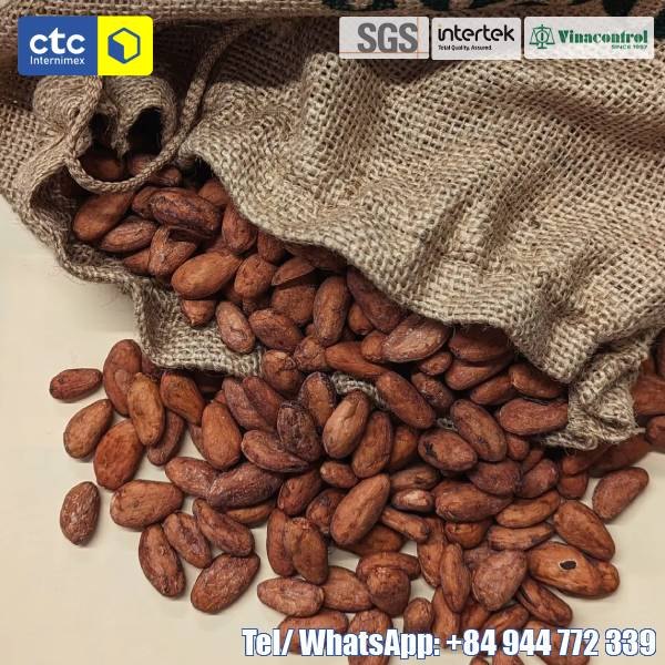 Dried Cocoa Bean