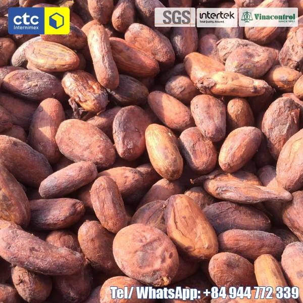 Dried Cocoa Bean