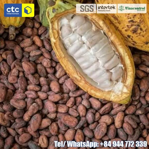 Dried Cocoa Bean