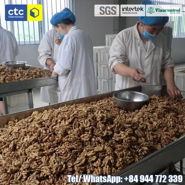 Raw Organic Walnuts